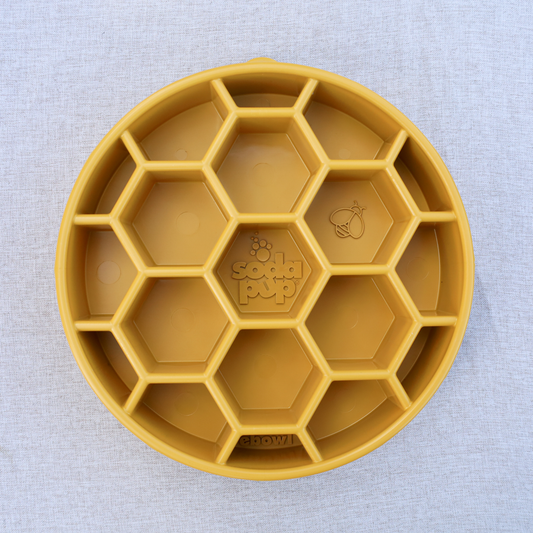 SodaPup Honeycomb eBowl